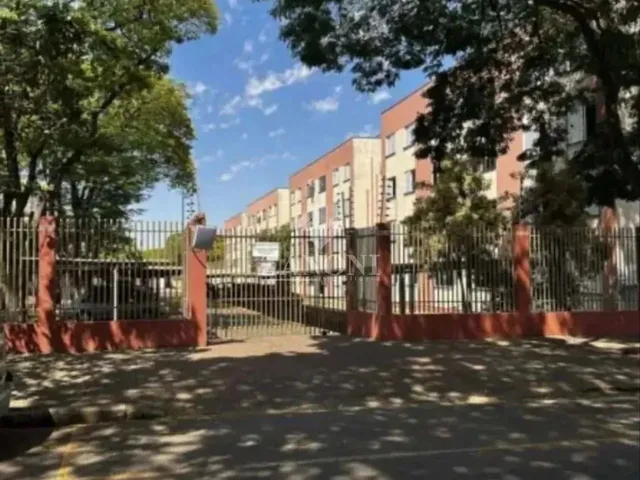 Imagem: Locação de Apartamentos / Padrão na Cidade