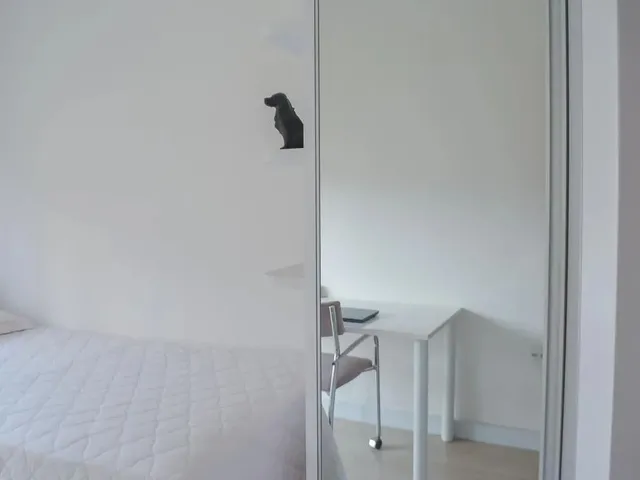 Imagem 10: Apartamento 3 Quartos Mobiliado no Batel