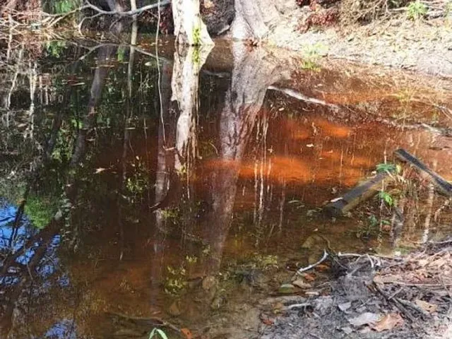 Imagem: Vendo Esse Lindo Terreno na Beira do Rio