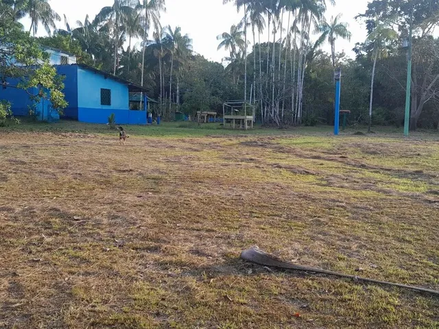 Imagem: Vende-Se Excelente Sitio