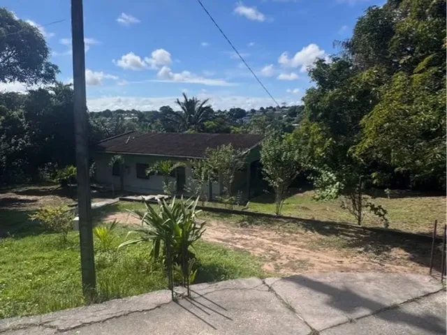 Imagem 4: Vendo Vivenda Graça Tarumã, Colônia Terra Nova/ Dentro da Cidade de Manaus / 10.000M2
