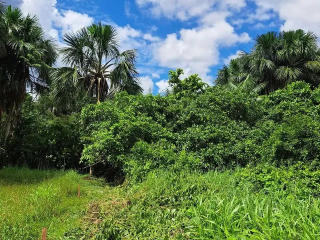 Imagem 2: Terreno União da Vitória Documentado