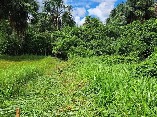 Imagem 3: Terreno União da Vitória Documentado
