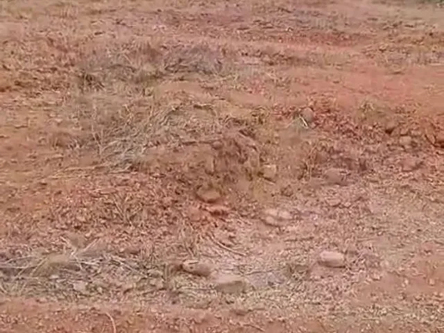 Imagem 5: Transfiro Lote Nova Amazonas 3