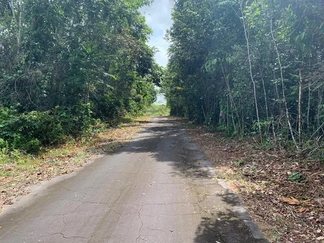 Imagem: Terreno na Pista Br 174 Km 9,5