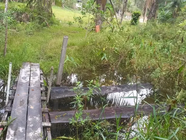 Imagem: Vende Se Terreno Medindo 100X150M