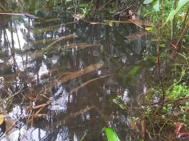 Imagem 2: Vende Se Terreno Medindo 100X150M
