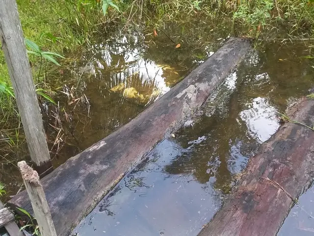 Imagem 3: Vende Se Terreno Medindo 100X150M