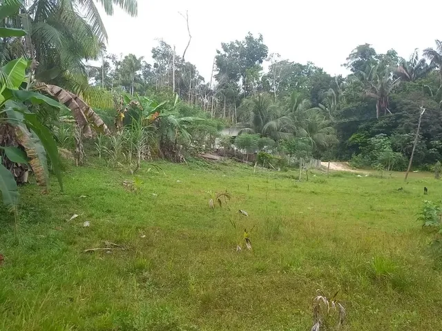 Imagem 4: Vende Se Terreno Medindo 100X150M