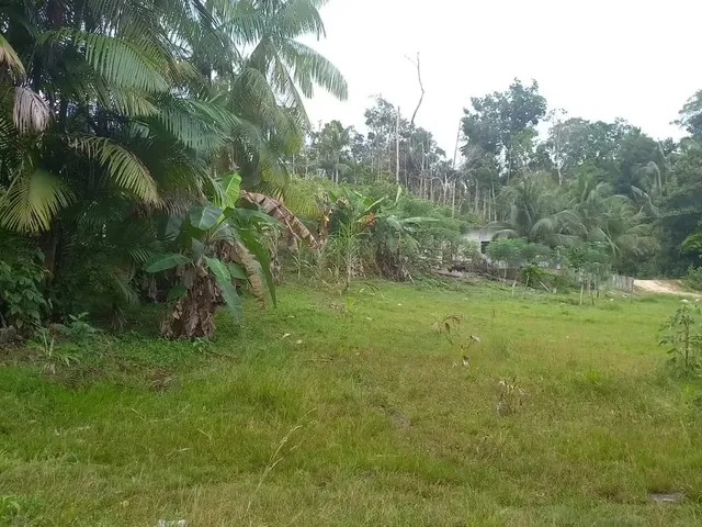 Imagem 5: Vende Se Terreno Medindo 100X150M