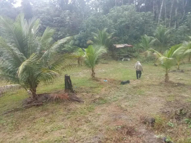 Imagem 9: Sitio Am 010 Km52