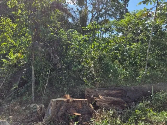 Imagem: Terreno em Iranduba a 20 Min da Ponte Rio