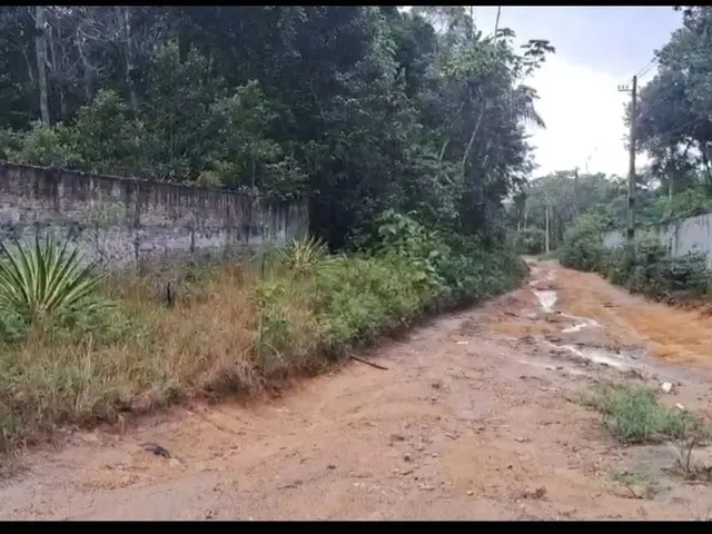 Imagem: Terreno no Tarumã Medindo 10.000M²