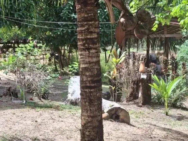 Imagem 6: Sítio com Igarapé Negócia
