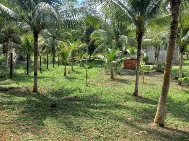 Imagem 4: Lindo Sitio em Balbina Presidente Figueiredo
