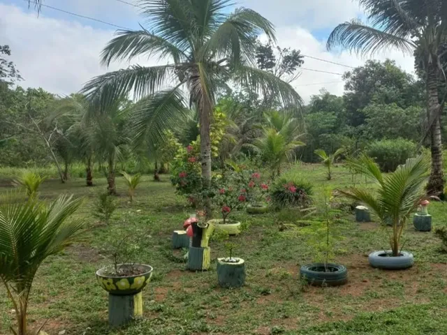 Imagem 5: Lindo Sitio em Balbina Presidente Figueiredo