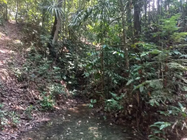 Imagem 9: Lindo Sitio em Balbina Presidente Figueiredo