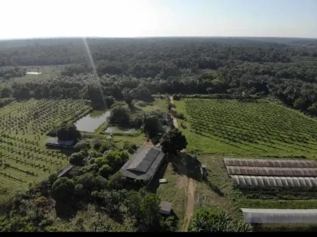 Imagem: Fazenda 2.500 X 2.600 na Am 010 Km 164 9.000.002,00