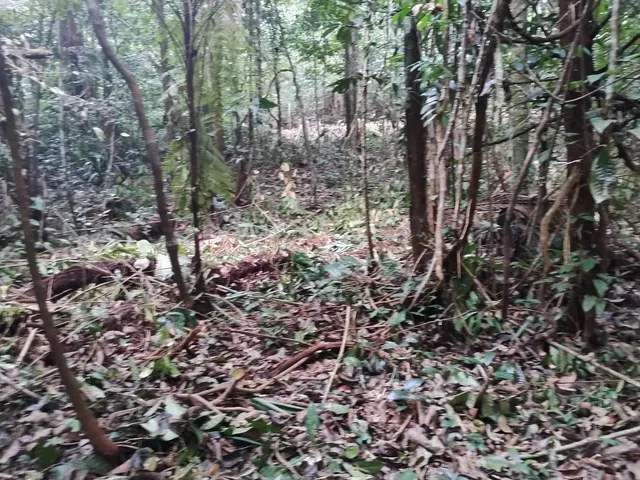 Imagem: Terrenos