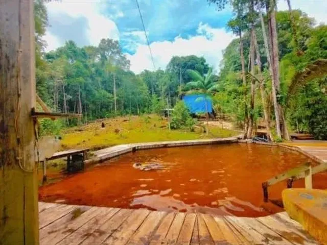 Imagem: Vendo Maravilhoso Sitio, 125M X 100M, Ramal