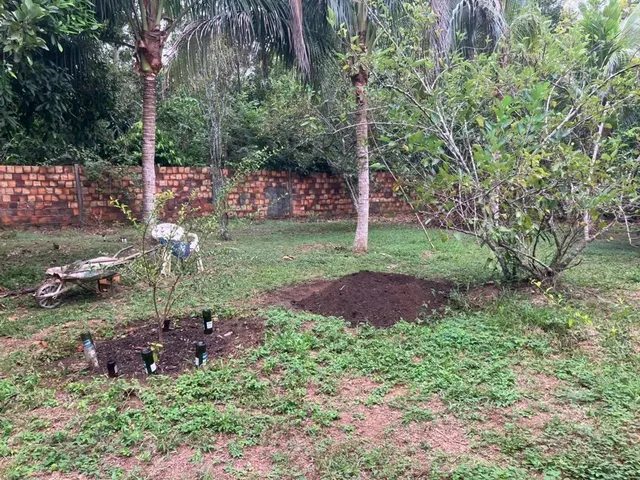 Imagem 5: Vendo Belíssimo Terreno