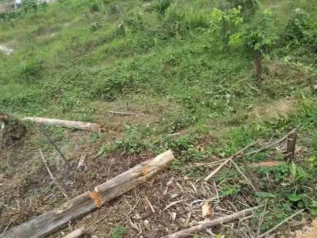 Imagem: Terreno