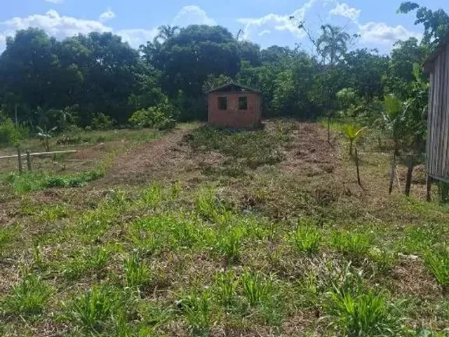 Imagem 1: Terreno na Estrada de Autazes Km 53