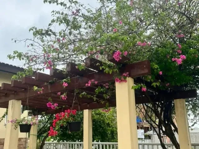 Imagem 10: Lote para Venda em Manaus, Tarumã-Açu