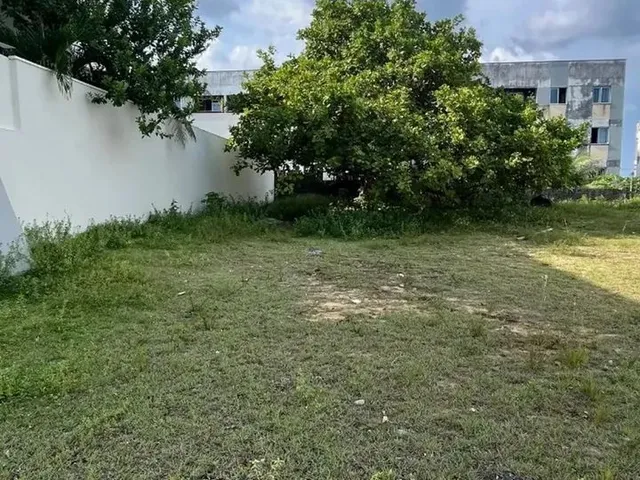 Imagem: Terreno Residencial em Manaus - Am, Chapada