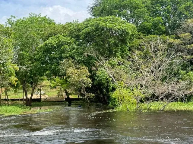 Imagem: Vendo Sitio na Comunidade santa Luzia (Puraquequara)