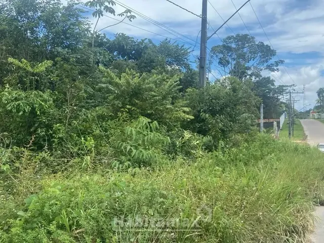 Imagem: Terreno com 5.000M² Perfeito para Condomínio