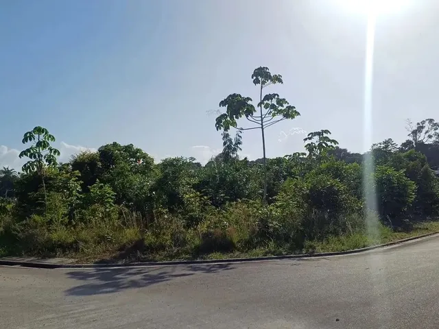 Imagem: Lote/ Mosaico Ponta Anegra / Terreno 398M2