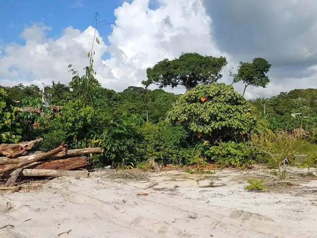 Imagem 3: Lote/ Mosaico Ponta Anegra / Terreno 398M2