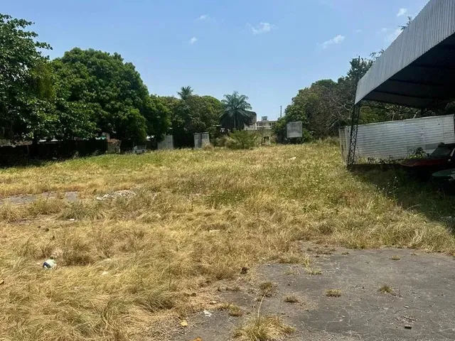 Imagem: Alugo Terreno na Av Brasil com 6.000 M2