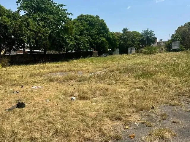 Imagem 3: Alugo Terreno na Av Brasil com 6.000 M2