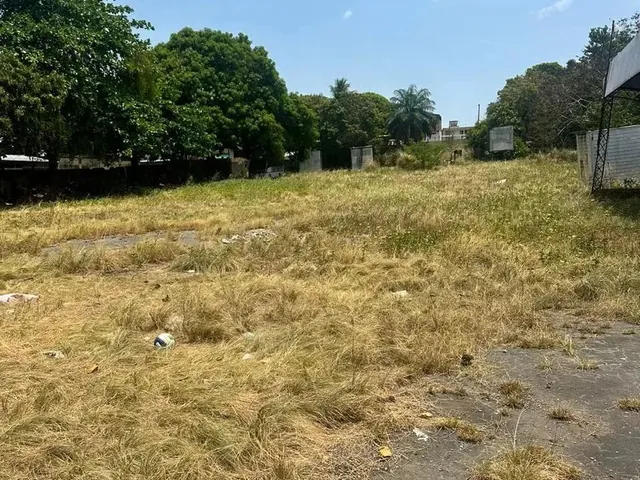 Imagem 5: Alugo Terreno na Av Brasil com 6.000 M2