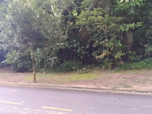 Imagem 10: Lote de 363M2 no Condomínio Alphaville 04