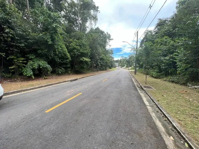Imagem 9: Lote de 363M2 no Condomínio Alphaville 04