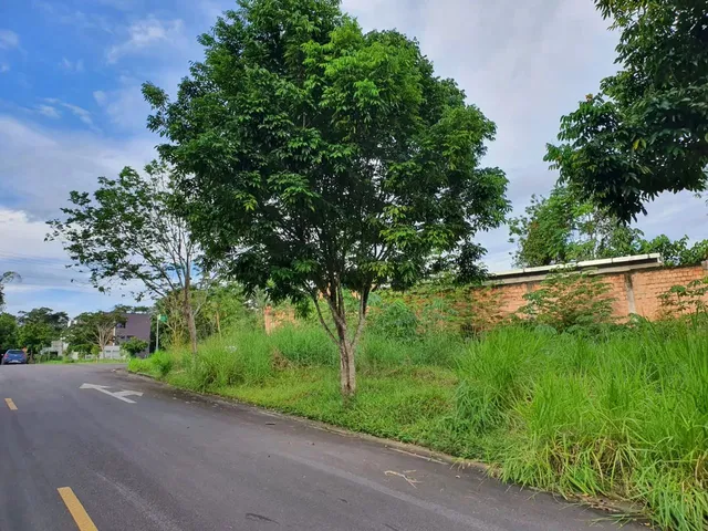 Imagem: Vendo Lote de Esquina na Primeira Etapa