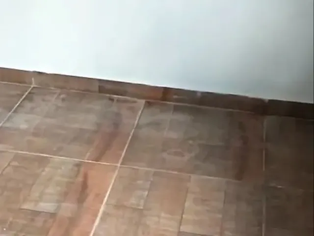 Imagem 5: Aluga Se no Jardim Califórnia