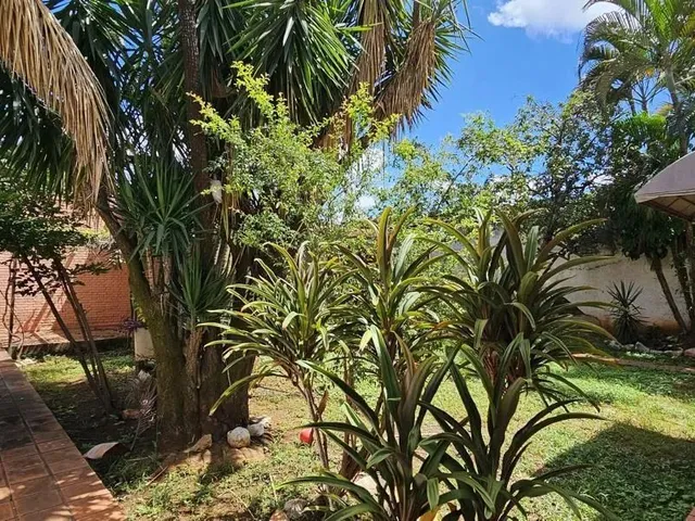 Imagem 6: Casa a Venda Setor Oeste Goiânia