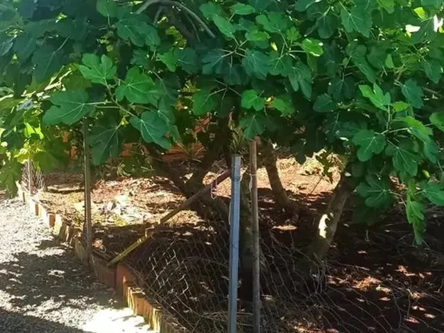 Imagem 9: Casa no Vederti I em Chapecó - Sc