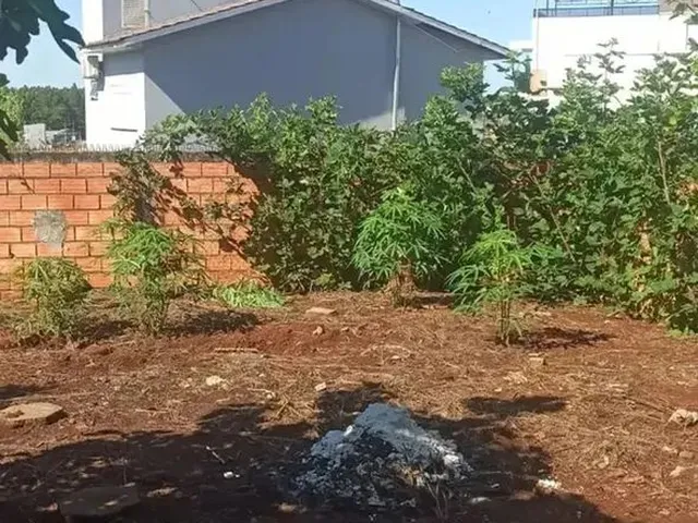Imagem 14: Casa no Vederti I em Chapecó - Sc
