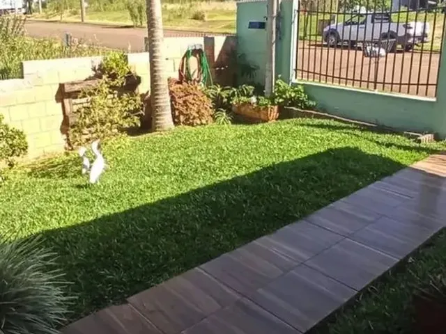 Imagem 5: Casa no Vederti I em Chapecó - Sc