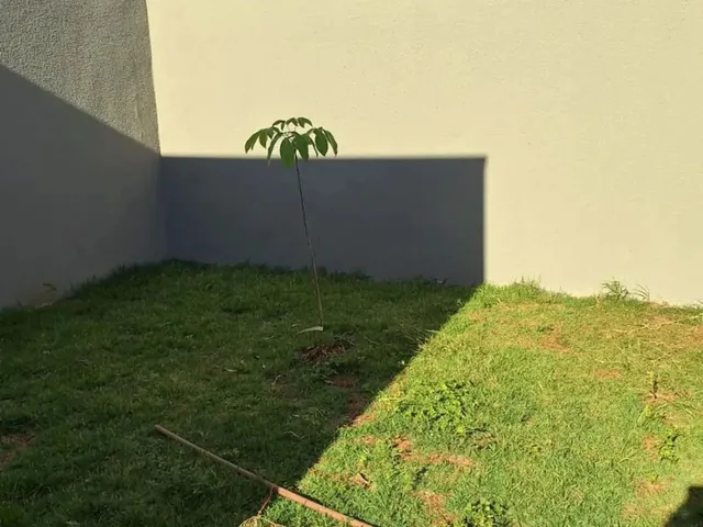 Imagem 12: Casa Á Venda com 2 Quartos Sendo 1 Suíte no Jardim Nossa Senhora Perpétuo Socorro Em