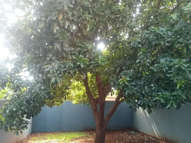 Imagem 8: Casa no Jardim São Conrado