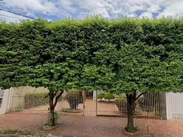 Imagem 3: Casa em Amambai Campo Grande/Ms