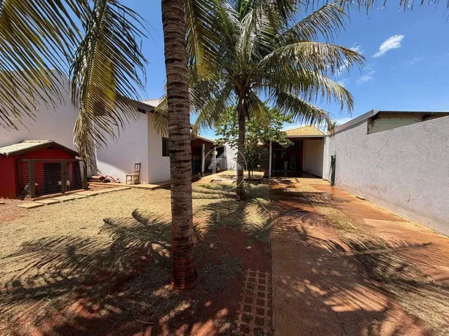 Imagem 14: Casa 3 Quartos Amplo Quintal - Santo Amaro