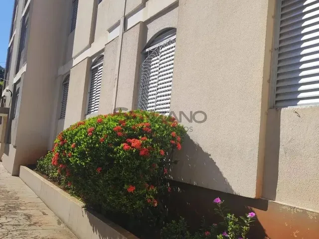 Imagem: Apartamento em Bairro São Francisco - Campo