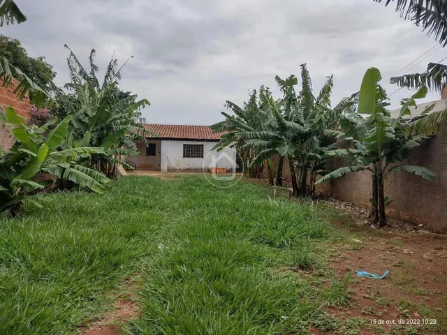 Imagem: Casa com 2 Quartos no Jardim Bálsamo